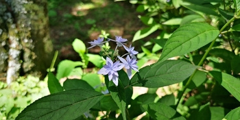 IMG_20250628_130605.jpg