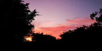 IMG_20250629_191937.jpg