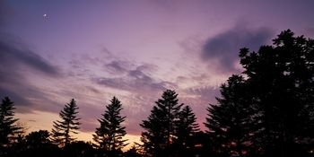 IMG_20250629_192357.jpg