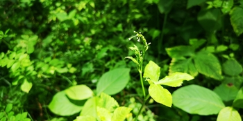 IMG_20250705_105307.jpg