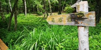 IMG_20250705_113057.jpg