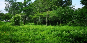 IMG_20250705_113653.jpg