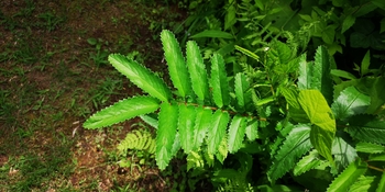 IMG_20250705_114814.jpg