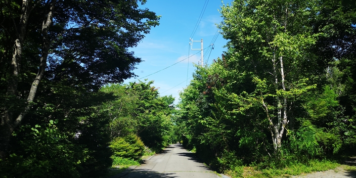 IMG_20250713_092615.jpg