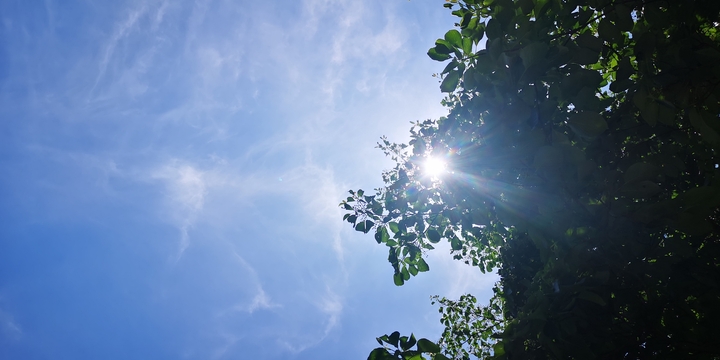 IMG_20250713_120135.jpg