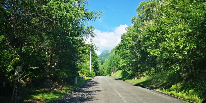 IMG_20250713_161630.jpg