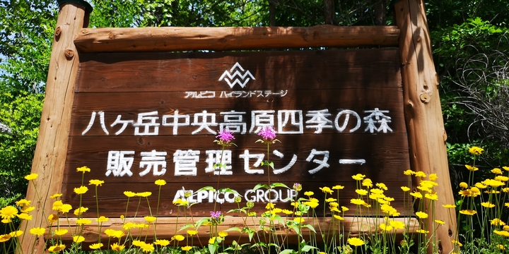 IMG_20250719_130935.jpg