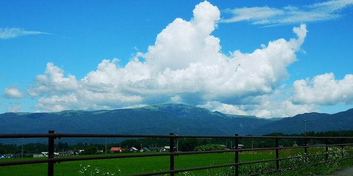 IMG_20250721_103117.jpg