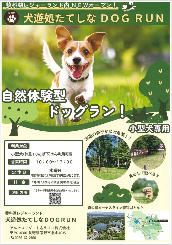 dogrun001.jpg