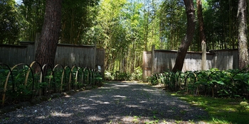 IMG_20250628_122422.jpg