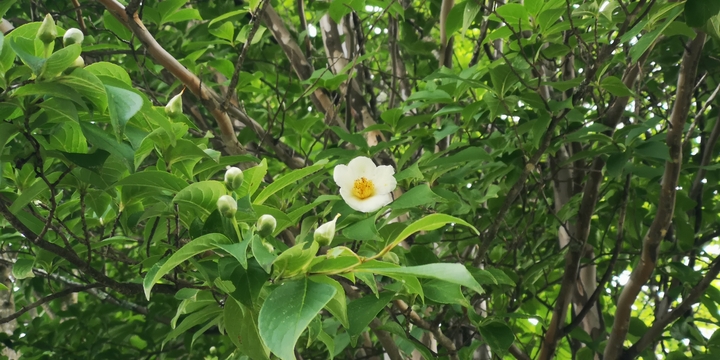 IMG_20250707_161708.jpg