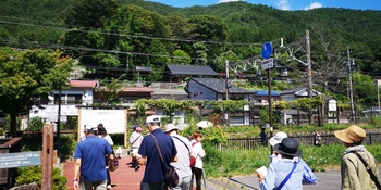 IMG_20250819_101618.jpg