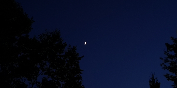 IMG_20250731_191326.jpg