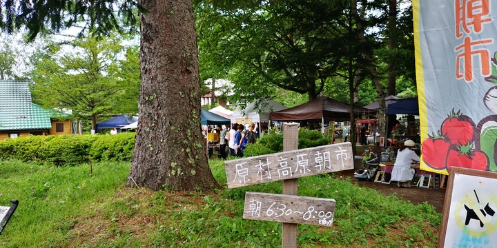 IMG_20250816_072155.jpg