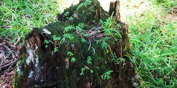 IMG_20250819_143208.jpg
