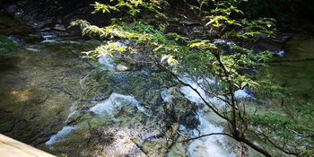 IMG_20250819_144257.jpg