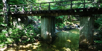 IMG_20250819_144351.jpg