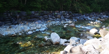 IMG_20250819_144919.jpg