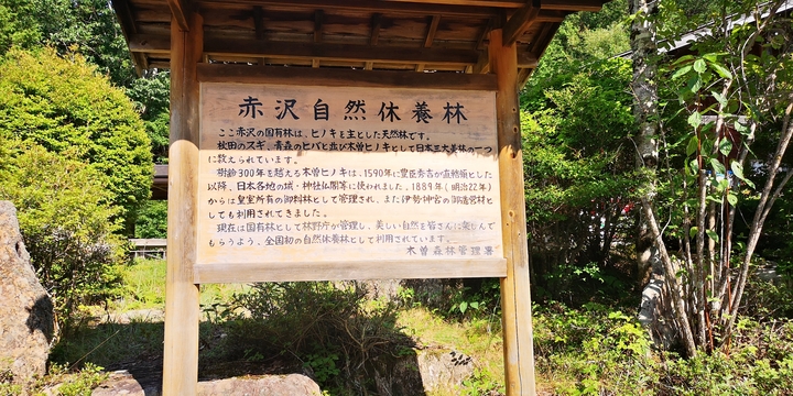 IMG_20250819_145554.jpg