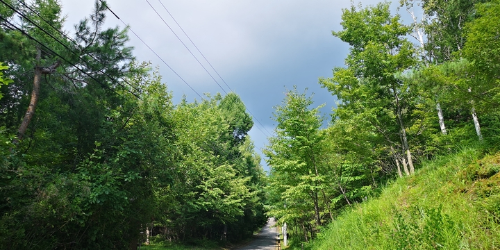 IMG_20250825_143506.jpg