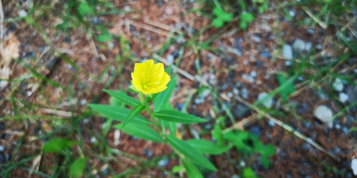 IMG_20250825_143547.jpg