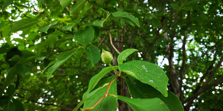 IMG_20250826_113649.jpg