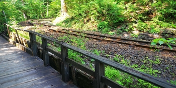 IMG_20250820_172013.jpg