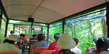 IMG_20250821_094322.jpg
