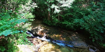 IMG_20250822_010100.jpg