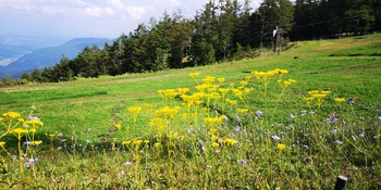 IMG_20250828_145741.jpg