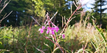 IMG_20250828_145922.jpg