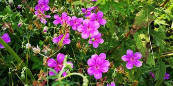 IMG_20250828_150118.jpg
