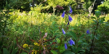 IMG_20250828_150222.jpg