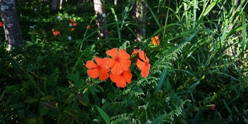 IMG_20250828_150525.jpg