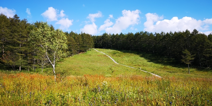IMG_20250828_152309.jpg