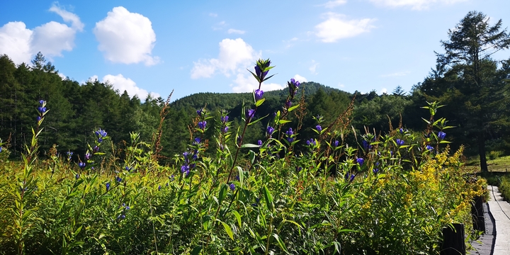IMG_20250828_152452.jpg