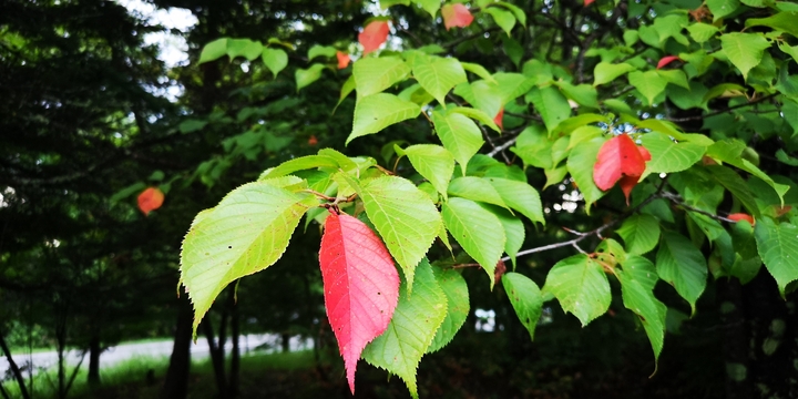 IMG_20250905_173405.jpg