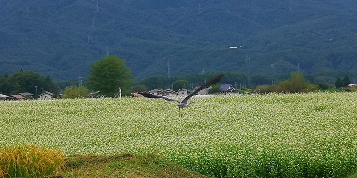 IMG_20250913_130928.jpg