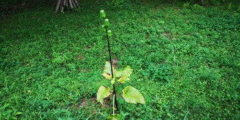 IMG_20250913_132231.jpg