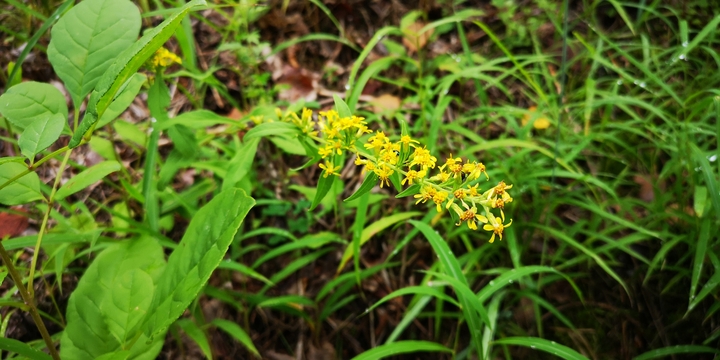 IMG_20250914_101514.jpg
