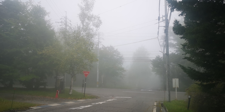 IMG_20250919_091207.jpg