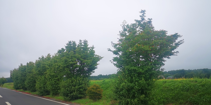 IMG_20250919_122511.jpg