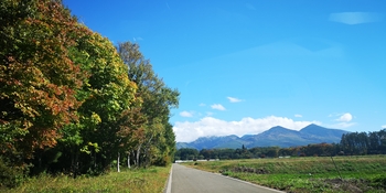 IMG_20251020_102400.jpg