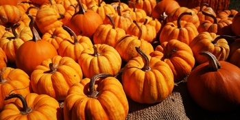 IMG_20251008_120013.jpg