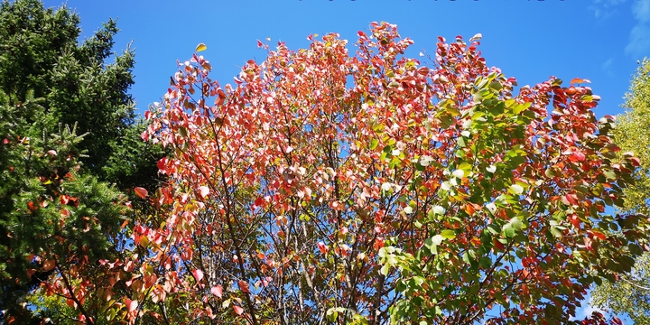 IMG_20250929_124118.jpg