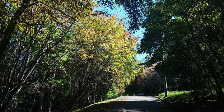 IMG_20251008_102658.jpg