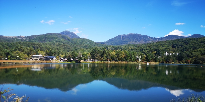 IMG_20251008_112936.jpg