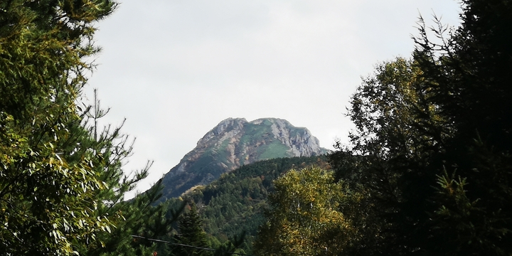 IMG_20251008_121201.jpg