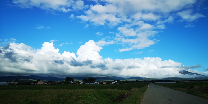 IMG_20251015_150656.jpg