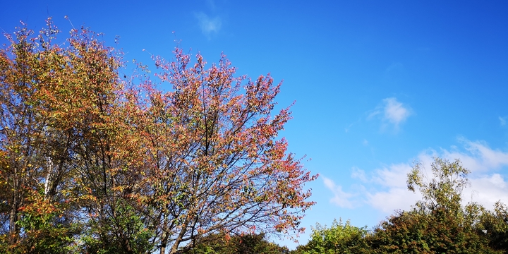 IMG_20251017_083434.jpg
